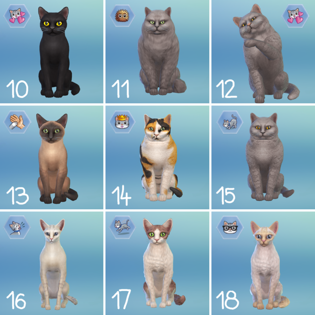 Rasy kotów - The Sims 4 Psy i koty